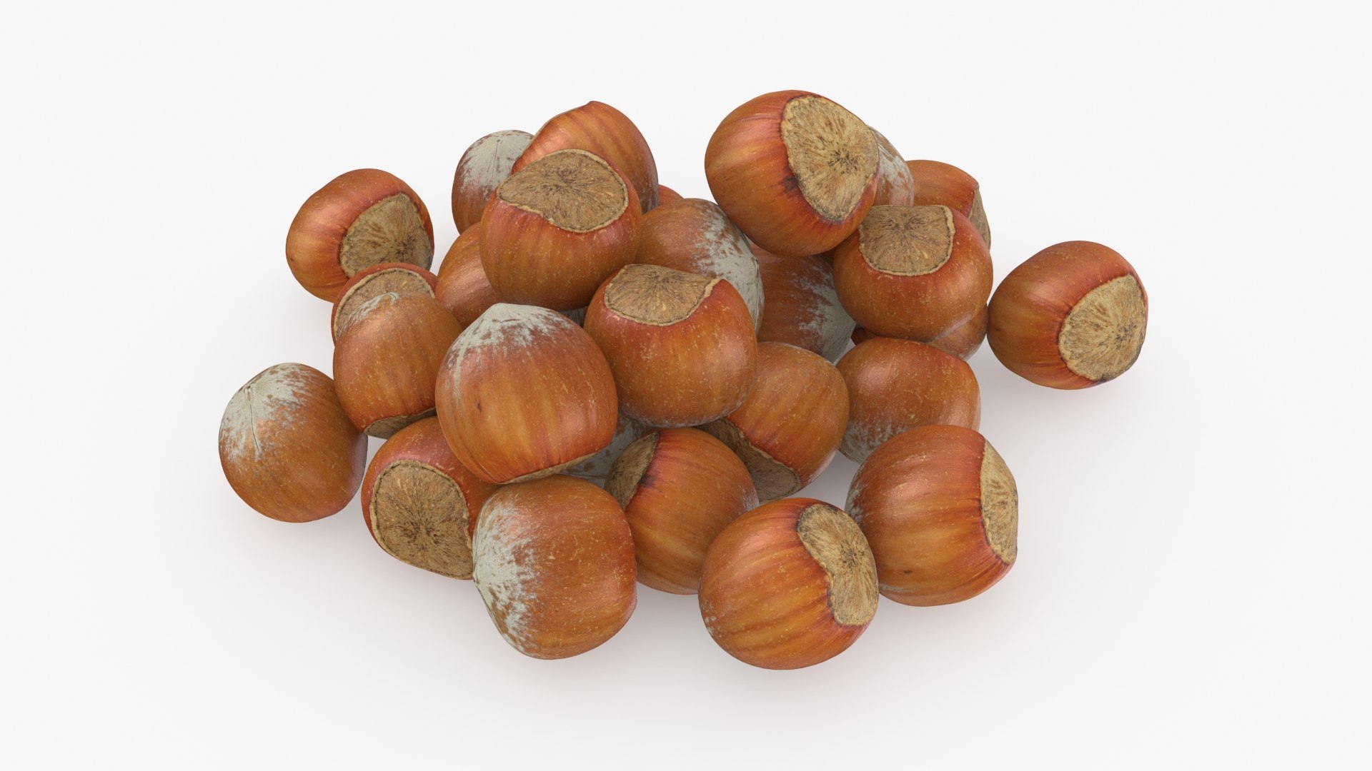 Hazelnuts in Shell 3D model https://p.turbosquid.com/ts-thumb/KZ/oapnL8/83/hazelnutshell02_b0000/jpg/1728917971/1920x1080/fit_q87/76dc6b6dbf1b3dd054e02b84a012877ea8d1bccb/hazelnutshell02_b0000.jpg