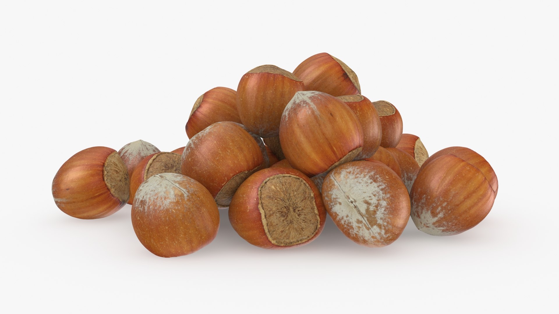 Hazelnuts in Shell 3D model https://p.turbosquid.com/ts-thumb/KZ/oapnL8/9C/hazelnutshell02_b0010/jpg/1728917974/1920x1080/fit_q87/acb155ecf7b1c97a02a372cfaaf60173b51fc623/hazelnutshell02_b0010.jpg