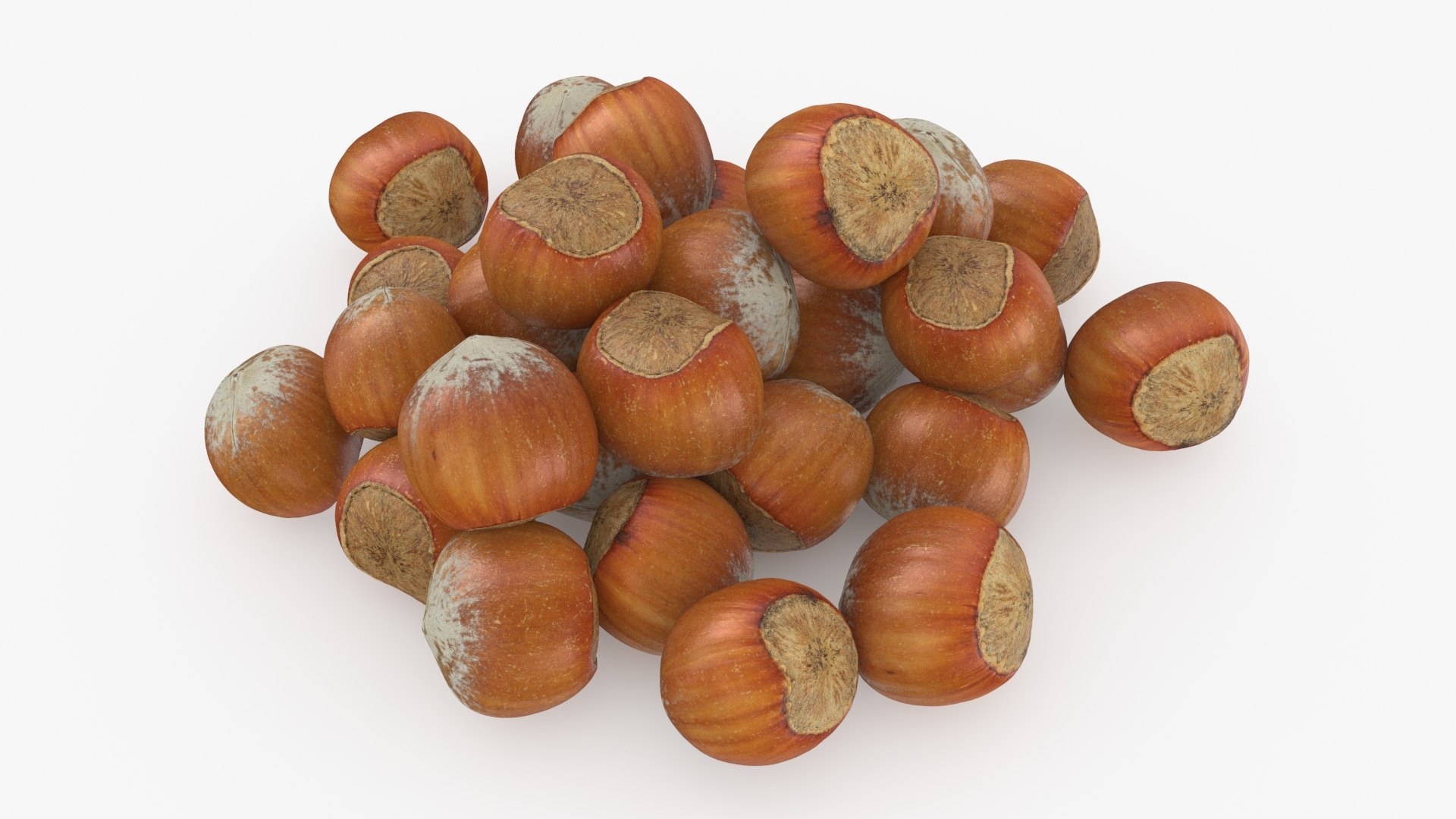 Hazelnuts in Shell 3D model https://p.turbosquid.com/ts-thumb/KZ/oapnL8/Ez/hazelnutshell02_b0014/jpg/1728917978/1920x1080/fit_q87/aa7ce62be3135a6b38c9557dd1eb5cc66a5147ae/hazelnutshell02_b0014.jpg