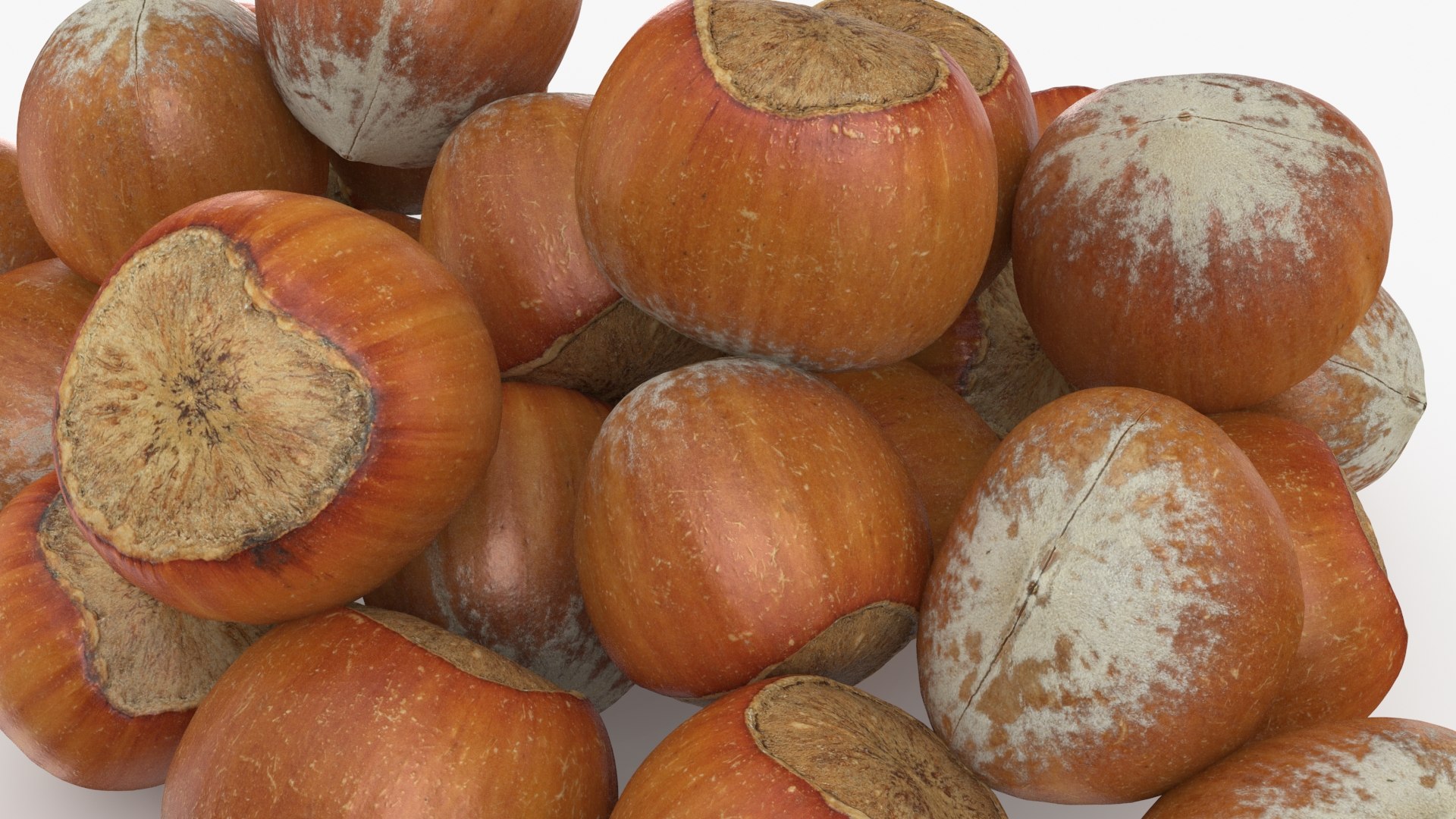 Hazelnuts in Shell 3D model https://p.turbosquid.com/ts-thumb/KZ/oapnL8/gl/hazelnutshell02_b0020/jpg/1728917987/1920x1080/fit_q87/8cffdedf94832930faf318dc6d9663d68d676106/hazelnutshell02_b0020.jpg