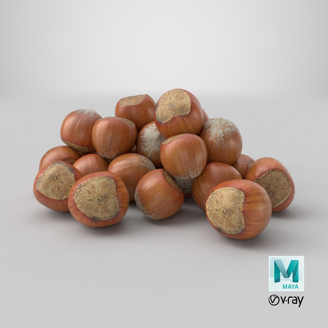 Hazelnuts in Shell 3D model https://p.turbosquid.com/ts-thumb/KZ/oapnL8/mQ/stemcell_maya_vray_render/png/1729531997/1920x1080/fit_q87/16c56304d527de8ad63729e94df031362b6c5822/stemcell_maya_vray_render.jpg