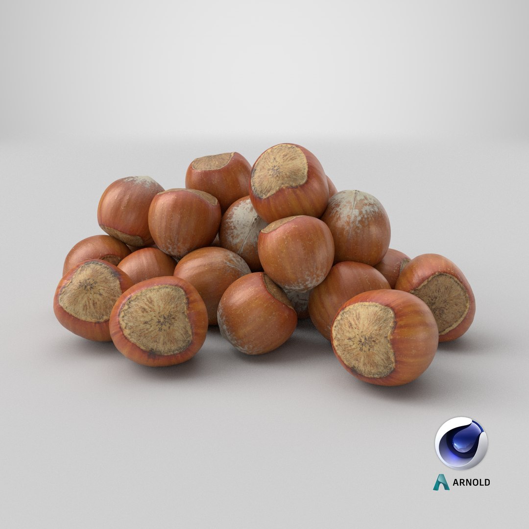 Hazelnuts in Shell 3D model https://p.turbosquid.com/ts-thumb/KZ/oapnL8/mu/stemcell_cinema_4d_arnold_render/png/1729531999/1920x1080/fit_q87/59b3f18866e79efa439501ce38b1a2a2ca4be8df/stemcell_cinema_4d_arnold_render.jpg