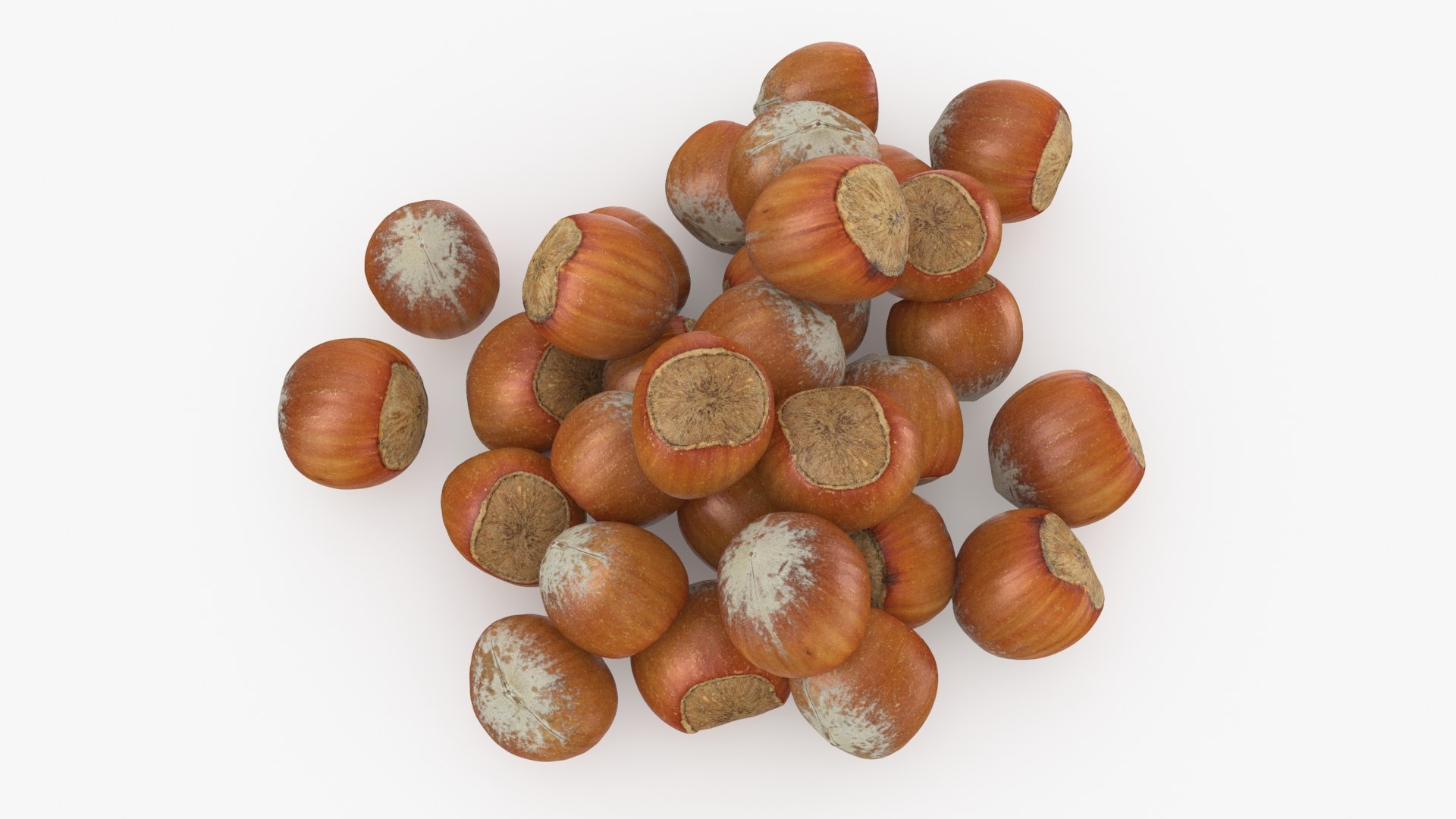 Hazelnuts in Shell 3D model https://p.turbosquid.com/ts-thumb/KZ/oapnL8/ww/hazelnutshell02_b0016/jpg/1728917978/1920x1080/fit_q87/6dde883f0ee1b0674e9edf7ef9463ed9b665583d/hazelnutshell02_b0016.jpg