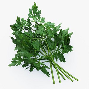Bunch of parsley