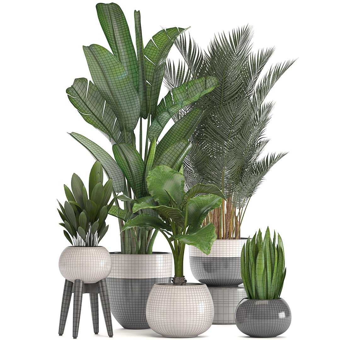 3D Ornamental Plants Pots - TurboSquid 1296331