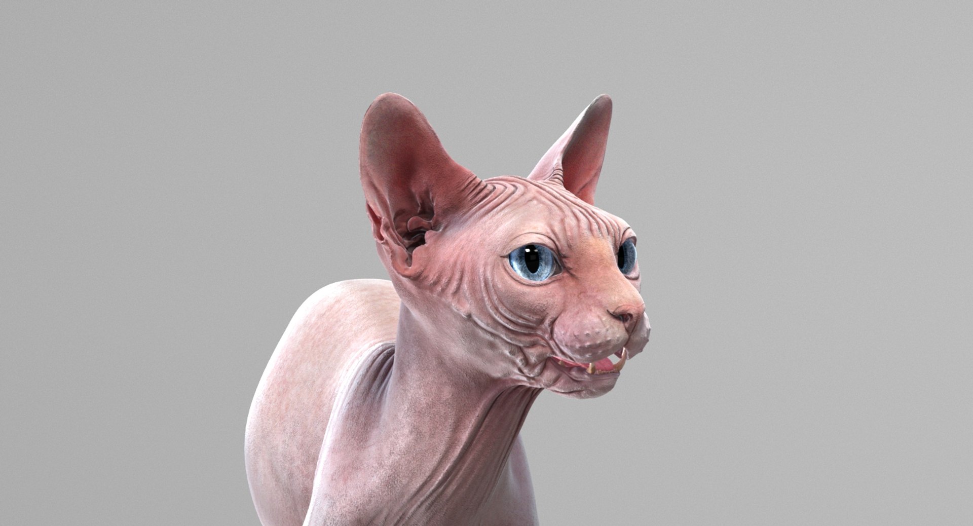 3D sphynx cat rigged model - TurboSquid 1406342