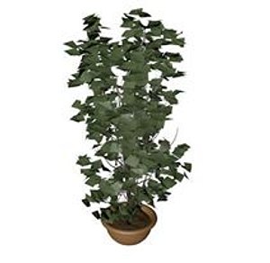 plant potted 3d model