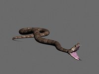 Snake