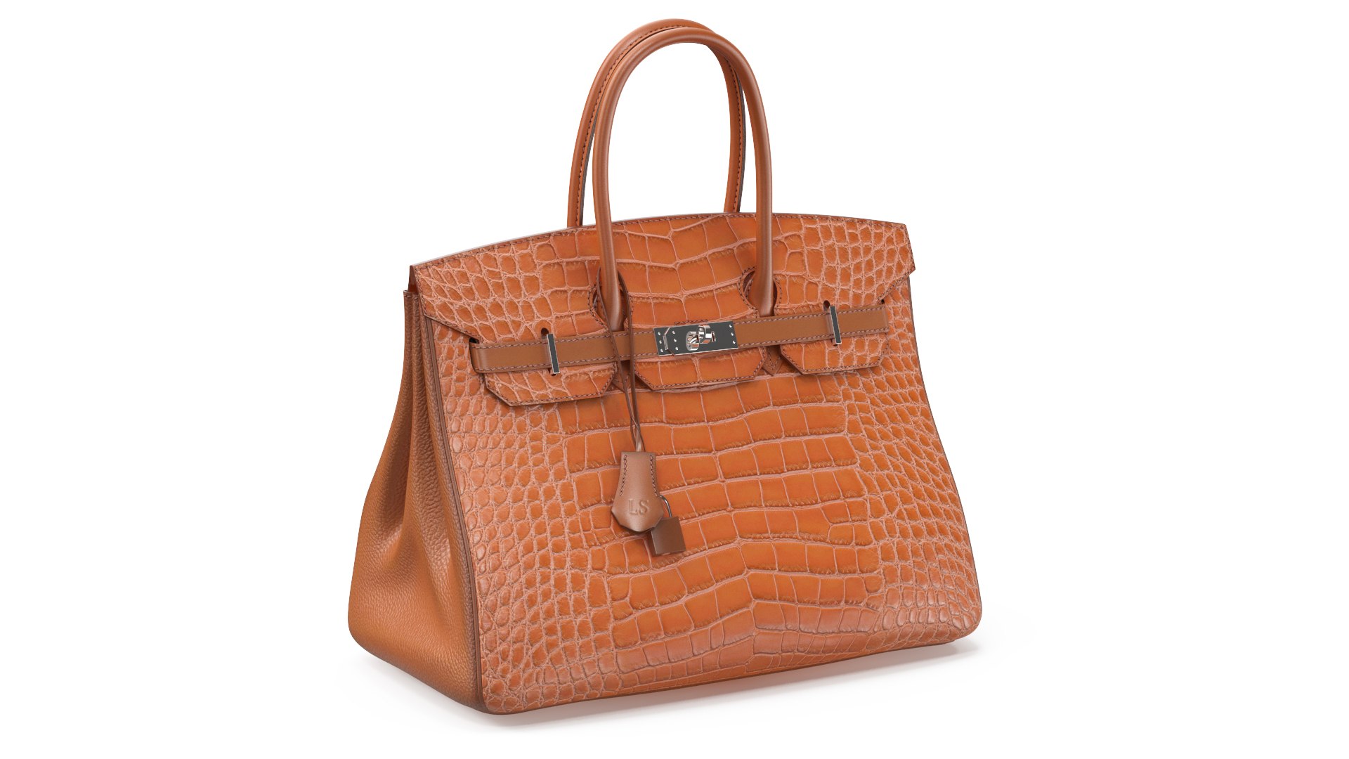 Womens Alligator Skin Leather Bag 3D model preview