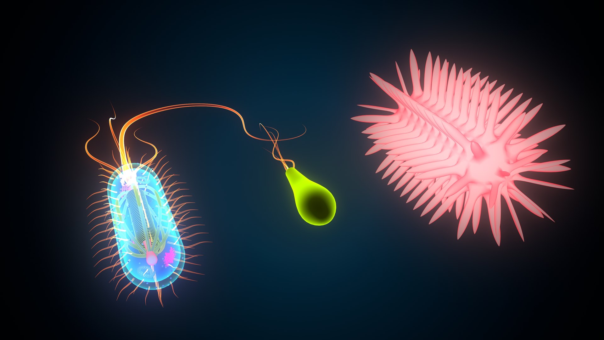 3D model bacteria https://p.turbosquid.com/ts-thumb/Ka/5yE2Sf/4A/dacteria0008/jpeg/1637923811/1920x1080/fit_q87/12dc8806499a37f833636cb6a225438a726687ec/dacteria0008.jpg