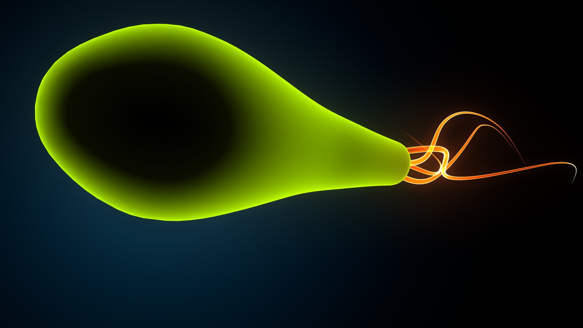 3D model bacteria https://p.turbosquid.com/ts-thumb/Ka/5yE2Sf/4i/bacteria0008/jpeg/1637923754/1920x1080/fit_q87/48f60f9a9f60117abad6bdbd8d9428544e0fbc7b/bacteria0008.jpg