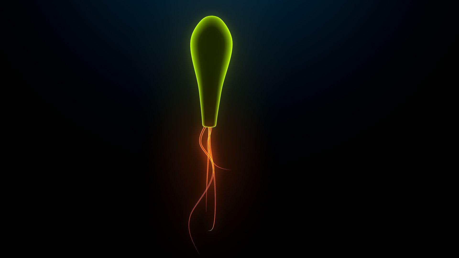 3D model bacteria https://p.turbosquid.com/ts-thumb/Ka/5yE2Sf/Bm/bacteria0004/jpeg/1637923642/1920x1080/fit_q87/320da0a68abd7871c25661595e9c3a71476a1553/bacteria0004.jpg