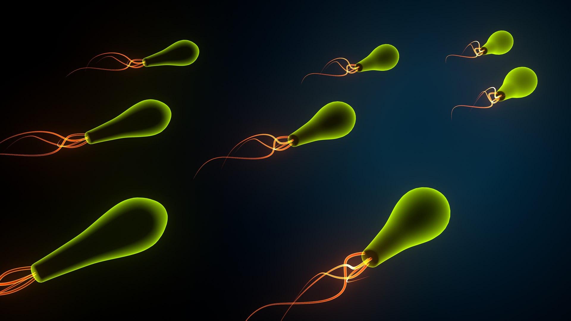 3D model bacteria https://p.turbosquid.com/ts-thumb/Ka/5yE2Sf/Bw/bacteria0011/jpeg/1637923813/1920x1080/fit_q87/f76fc436ac9048e885b9100c6ee8f7056b226d82/bacteria0011.jpg
