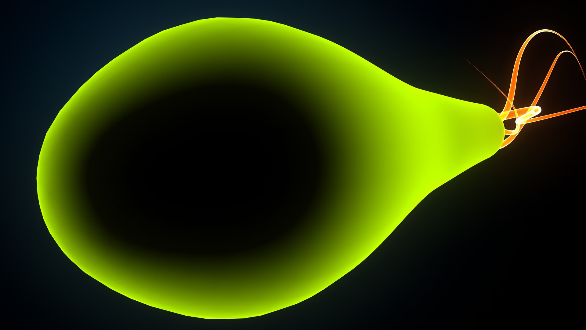 3D model bacteria https://p.turbosquid.com/ts-thumb/Ka/5yE2Sf/Cg/bacteria0009/jpeg/1637923815/1920x1080/fit_q87/d51e589bd730765ecaec370a1158764f053ff99c/bacteria0009.jpg