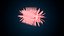 bacteria