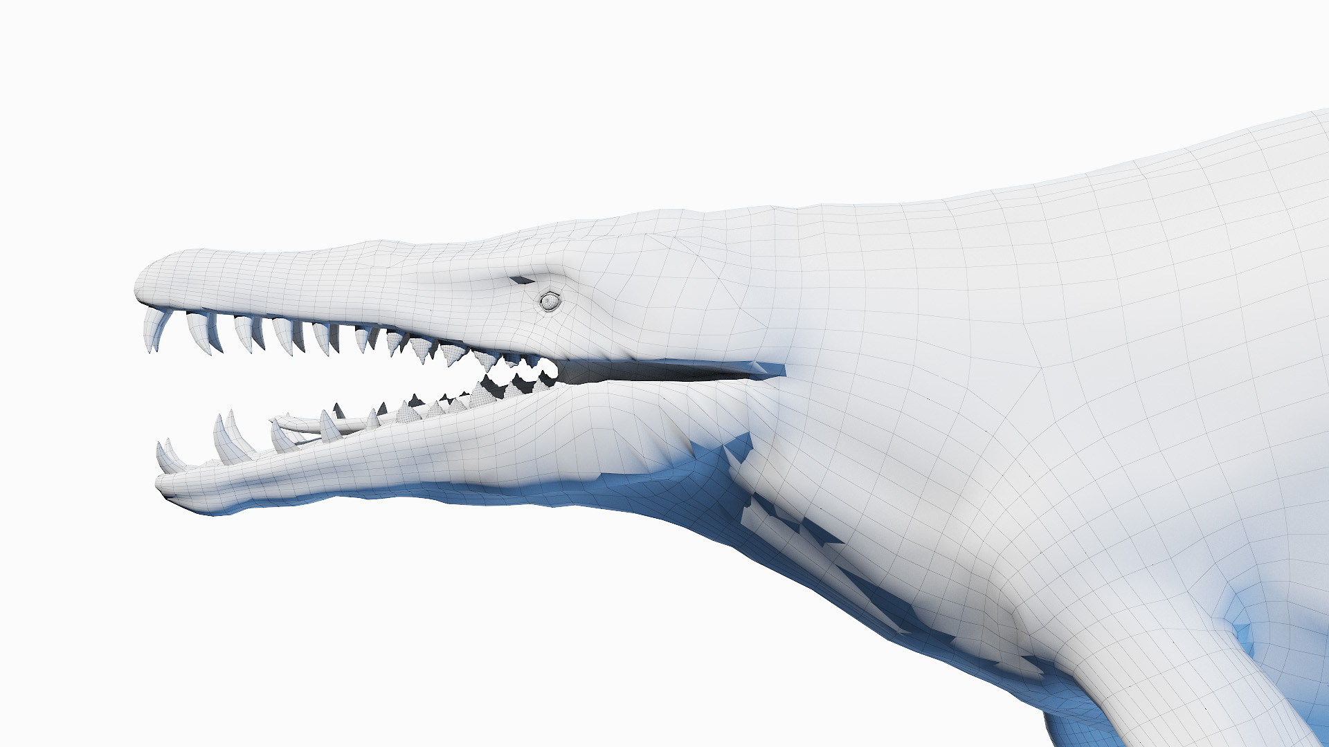 3D basilosaurus TurboSquid 1705985