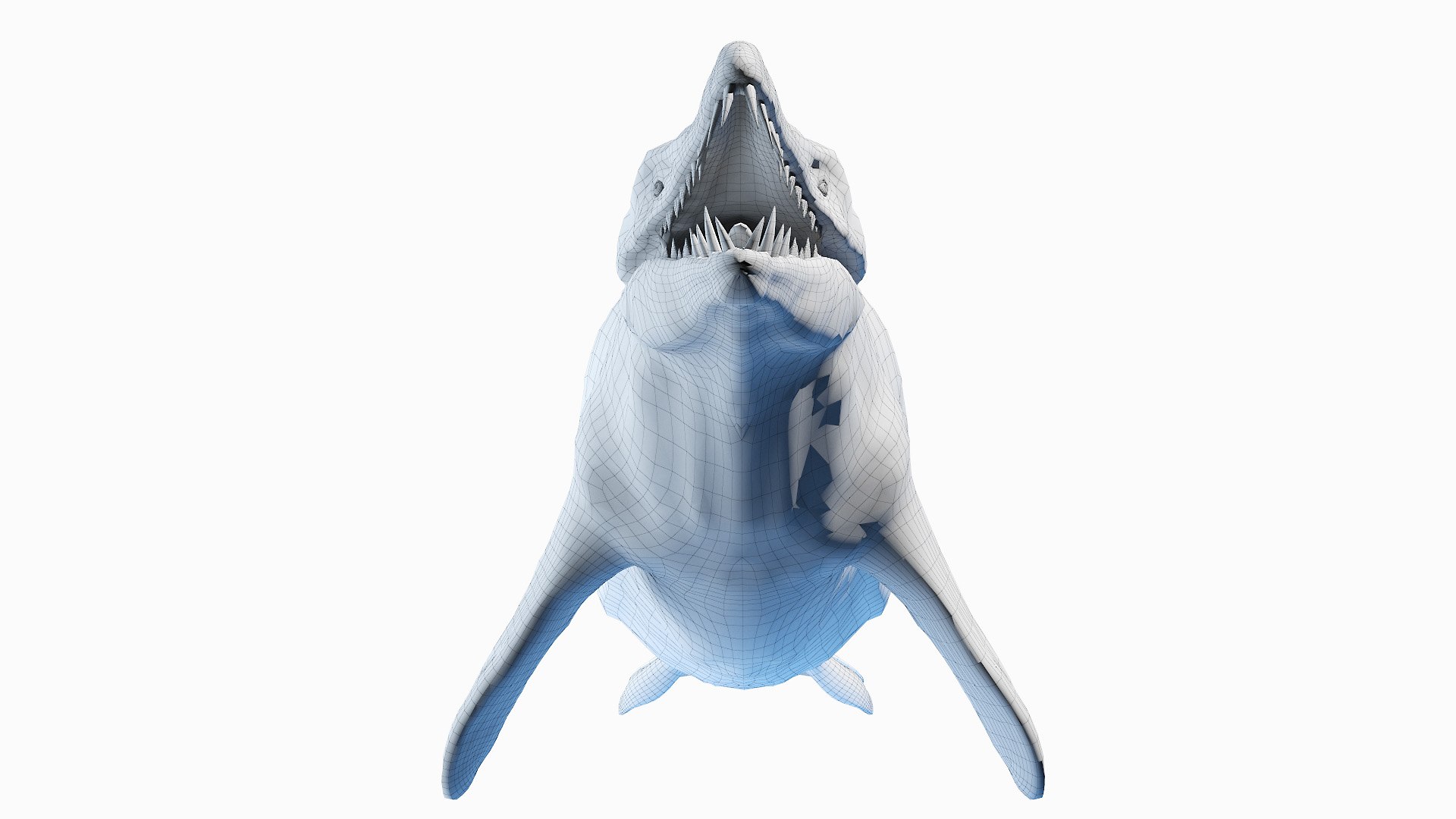 3D Basilosaurus - TurboSquid 1705985