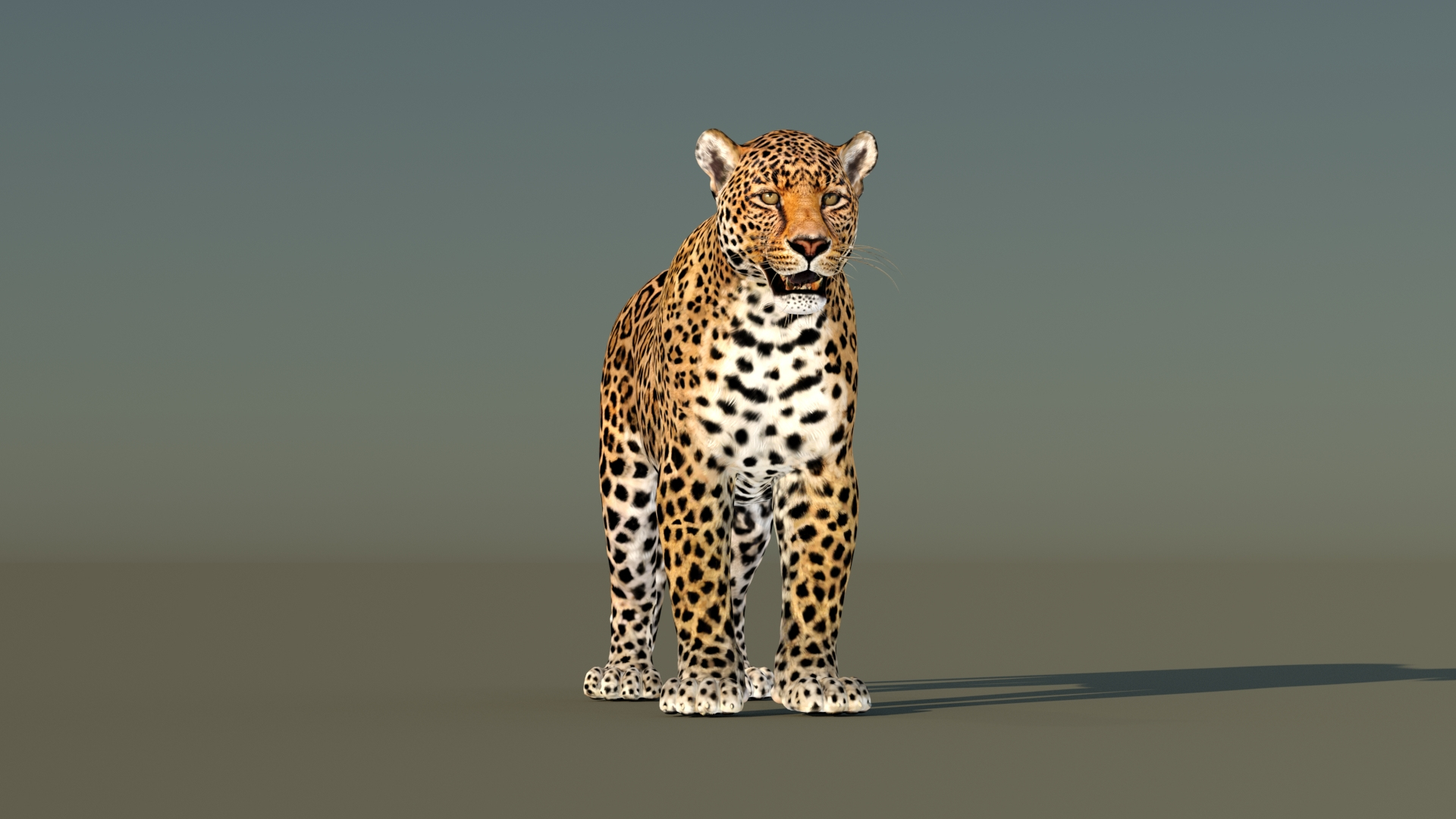 3D Leopard Rigged https://p.turbosquid.com/ts-thumb/Ka/I3Cout/EM/leopard_3d_model_360_view/jpg/1636651092/1920x1080/turn_fit_q99/ca3bcdc636ba83372bb7afa7be15cb2b9d11e142/leopard_3d_model_360_view-1.jpg