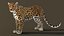 Leopard Rigged v1-1