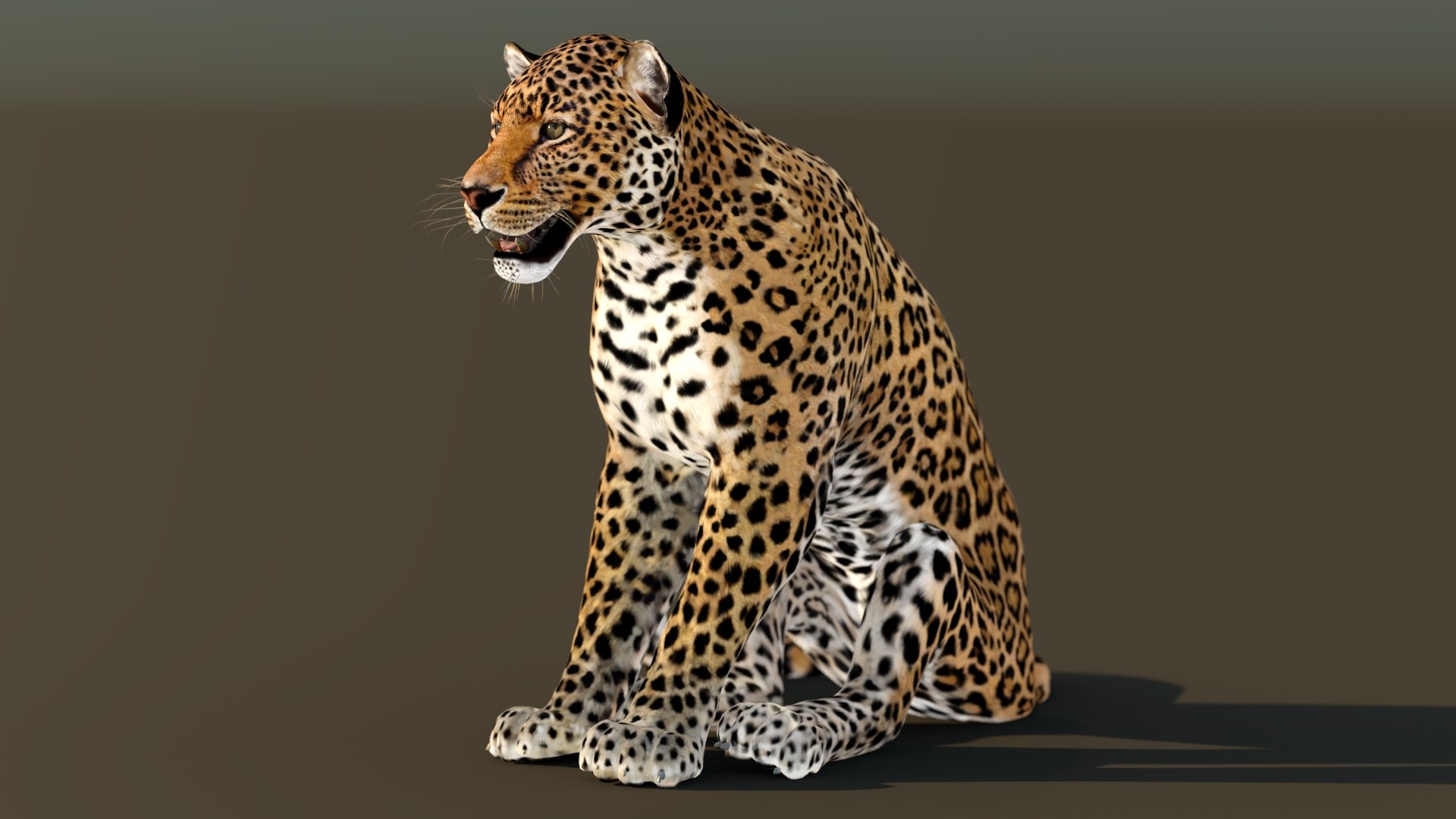 3D Leopard Rigged https://p.turbosquid.com/ts-thumb/Ka/I3Cout/m1/leopard_3d_model_rigged02/jpg/1636651087/1920x1080/fit_q87/9a8c83fe233b1c6f9892c0e51b530cae25837b78/leopard_3d_model_rigged02.jpg