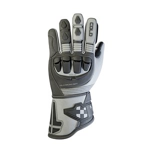 Motorcycle Gloves 3D model