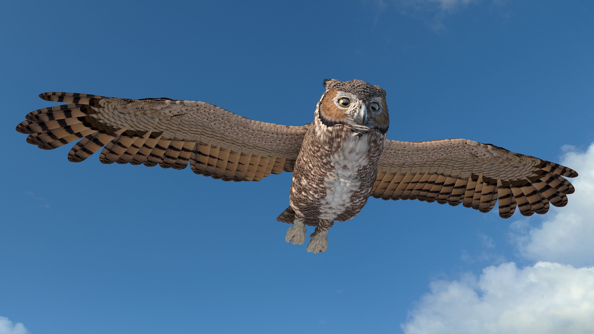 great horned owl rigged 3D model https://p.turbosquid.com/ts-thumb/Ka/WfoUja/287al46u/greathornedowlriggedvray3dmodel005/jpg/1583881032/1920x1080/fit_q87/069e5786fc99d227da5d5f6fba79ed699594b856/greathornedowlriggedvray3dmodel005.jpg