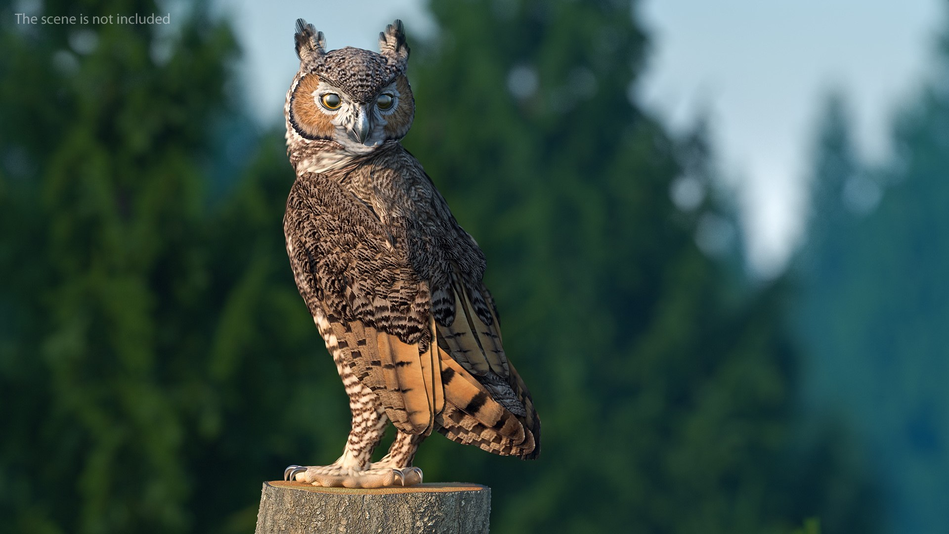 great horned owl rigged 3D model https://p.turbosquid.com/ts-thumb/Ka/WfoUja/9p7Kmm9b/greathornedowlriggedvray3dmodel003/jpg/1583881025/1920x1080/fit_q87/4d4d64dcf5246231e52e4994b7ee0869d25a55d0/greathornedowlriggedvray3dmodel003.jpg