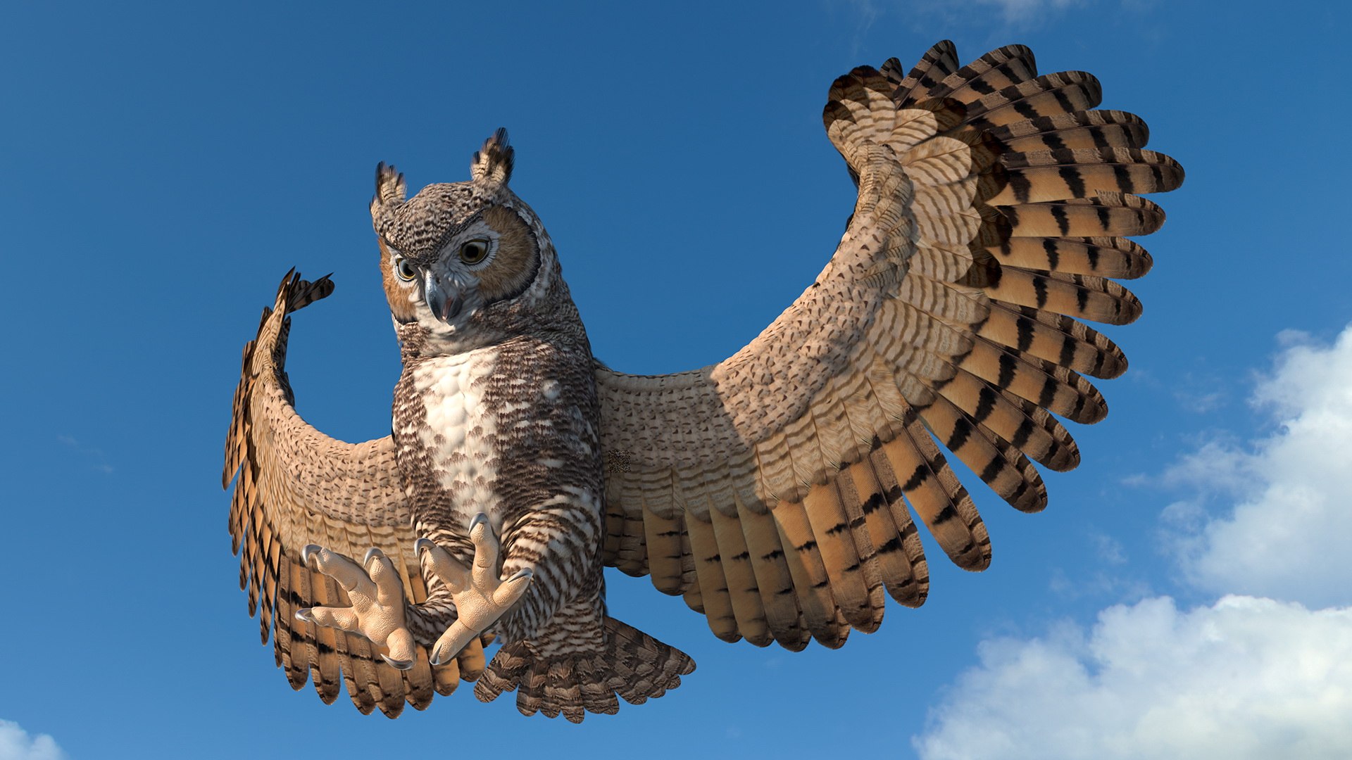 great horned owl rigged 3D model https://p.turbosquid.com/ts-thumb/Ka/WfoUja/cbtA043v/greathornedowlriggedvray3dmodel009/jpg/1583881044/1920x1080/fit_q87/47c2318cb938e357ab86f1f0cc44c471eb5f6e80/greathornedowlriggedvray3dmodel009.jpg