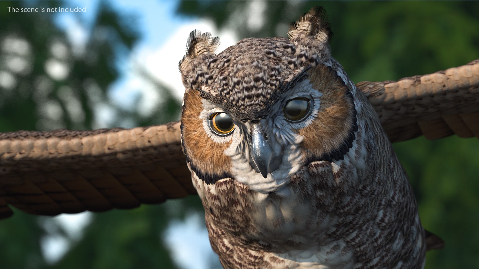 great horned owl rigged 3D model https://p.turbosquid.com/ts-thumb/Ka/WfoUja/cefnPB4B/greathornedowlriggedvray3dmodel008/jpg/1583881041/1920x1080/fit_q87/64cfa965ea43653495854e1a629b209a0c57d95b/greathornedowlriggedvray3dmodel008.jpg