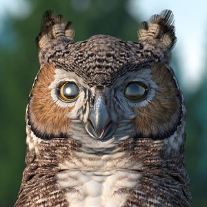 Great Horned Owl Rigged
