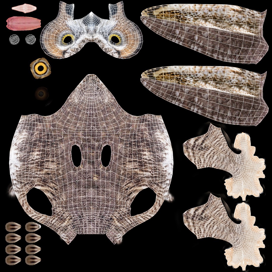 great horned owl rigged 3D model https://p.turbosquid.com/ts-thumb/Ka/WfoUja/m0Bi18m7/greathornedowlriggedvray3dmodel024/jpg/1583881093/1920x1080/fit_q87/315ff6a87e084367ed3718dbe6ae3d4dde58bde3/greathornedowlriggedvray3dmodel024.jpg