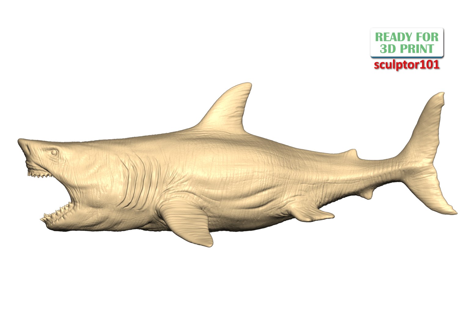 Ancient Ocean Creature Megalodon 3D sculpting 3D - TurboSquid 2054801