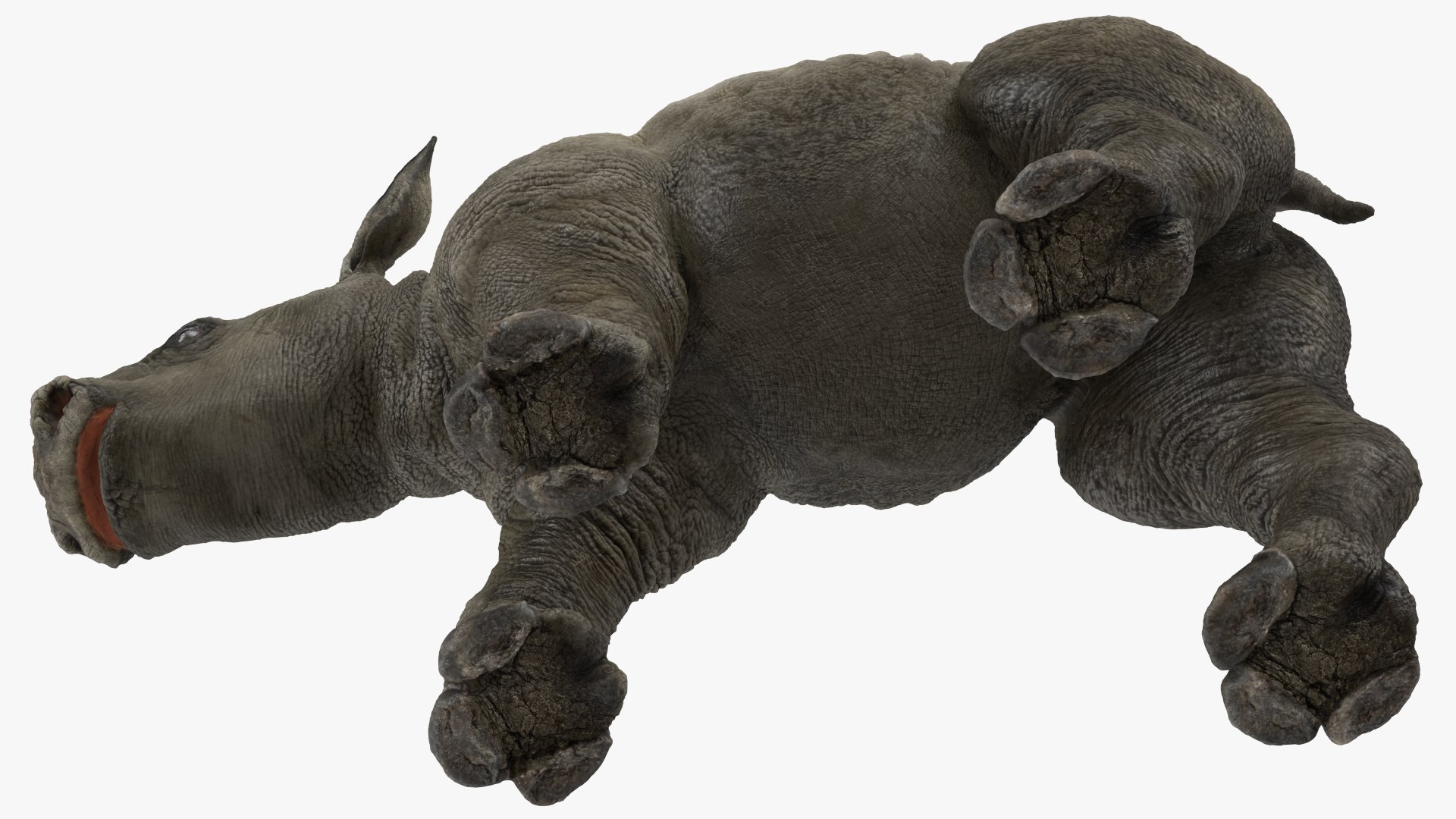 3D baby rhino rigged https://p.turbosquid.com/ts-thumb/Ka/bC5pkm/2f6v0v13/babyrhinorigged3dsmodel021/jpg/1609942022/1920x1080/fit_q87/c31d6bda2f19165070e3854979956b4573f003a1/babyrhinorigged3dsmodel021.jpg