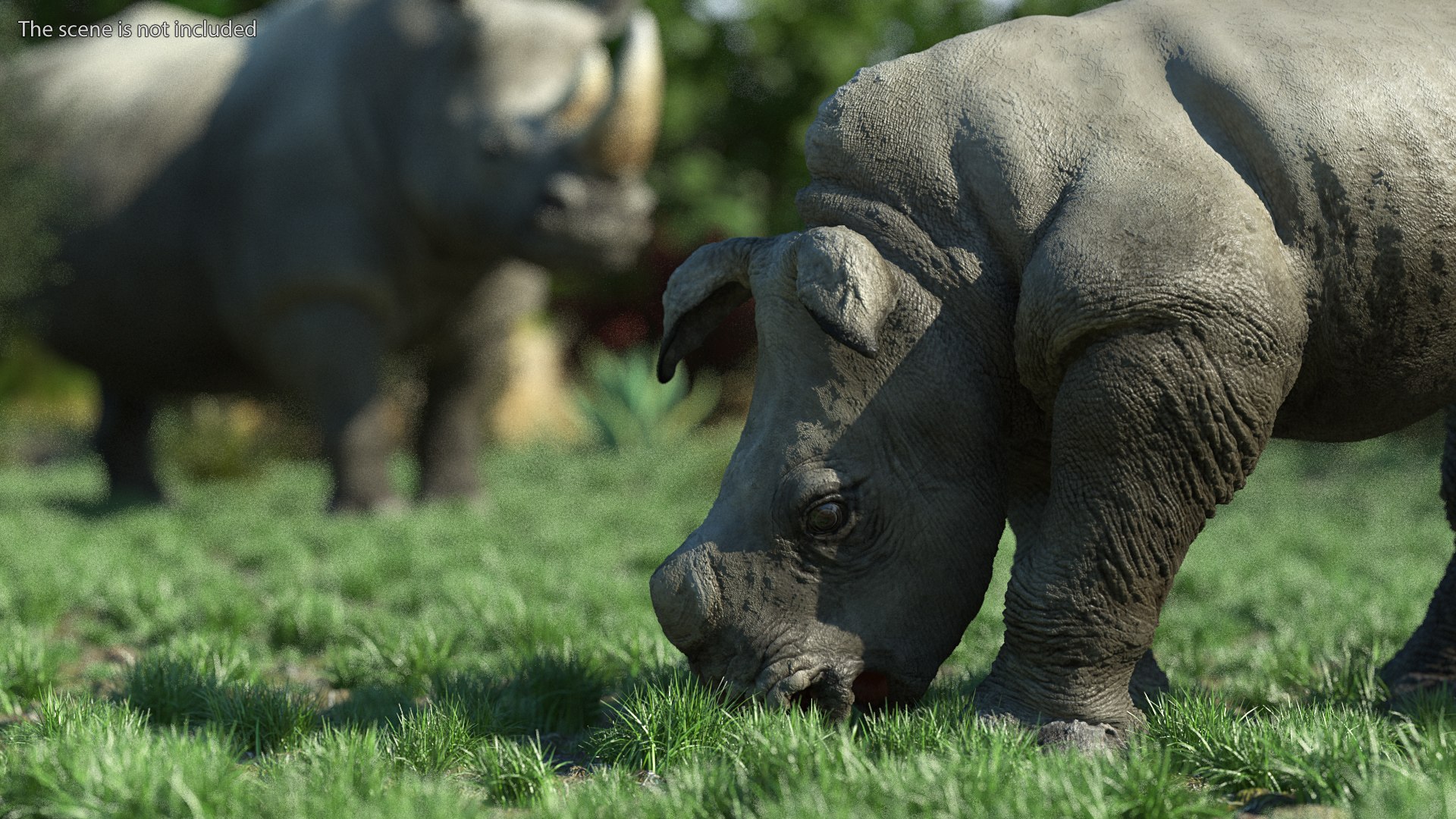 3D baby rhino rigged https://p.turbosquid.com/ts-thumb/Ka/bC5pkm/DLfNg3oS/babyrhinorigged3dsmodel004/jpg/1609941951/1920x1080/fit_q87/8ab37fb8528bf197ed10488cbe95df01a1e55322/babyrhinorigged3dsmodel004.jpg