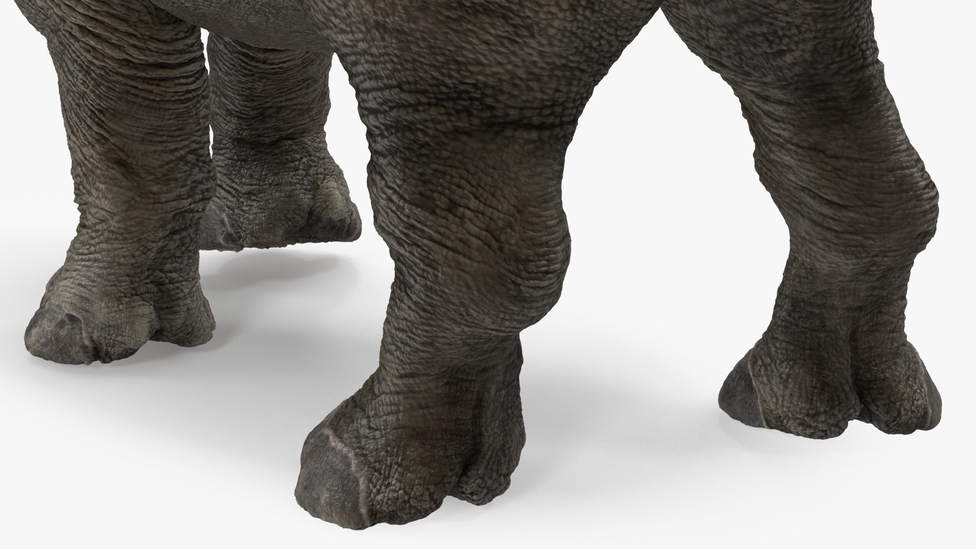3D baby rhino rigged https://p.turbosquid.com/ts-thumb/Ka/bC5pkm/MXKPvbkt/babyrhinorigged3dsmodel027/jpg/1609942047/1920x1080/fit_q87/2084273323acd594ae8c57835752c48ea3f983fb/babyrhinorigged3dsmodel027.jpg