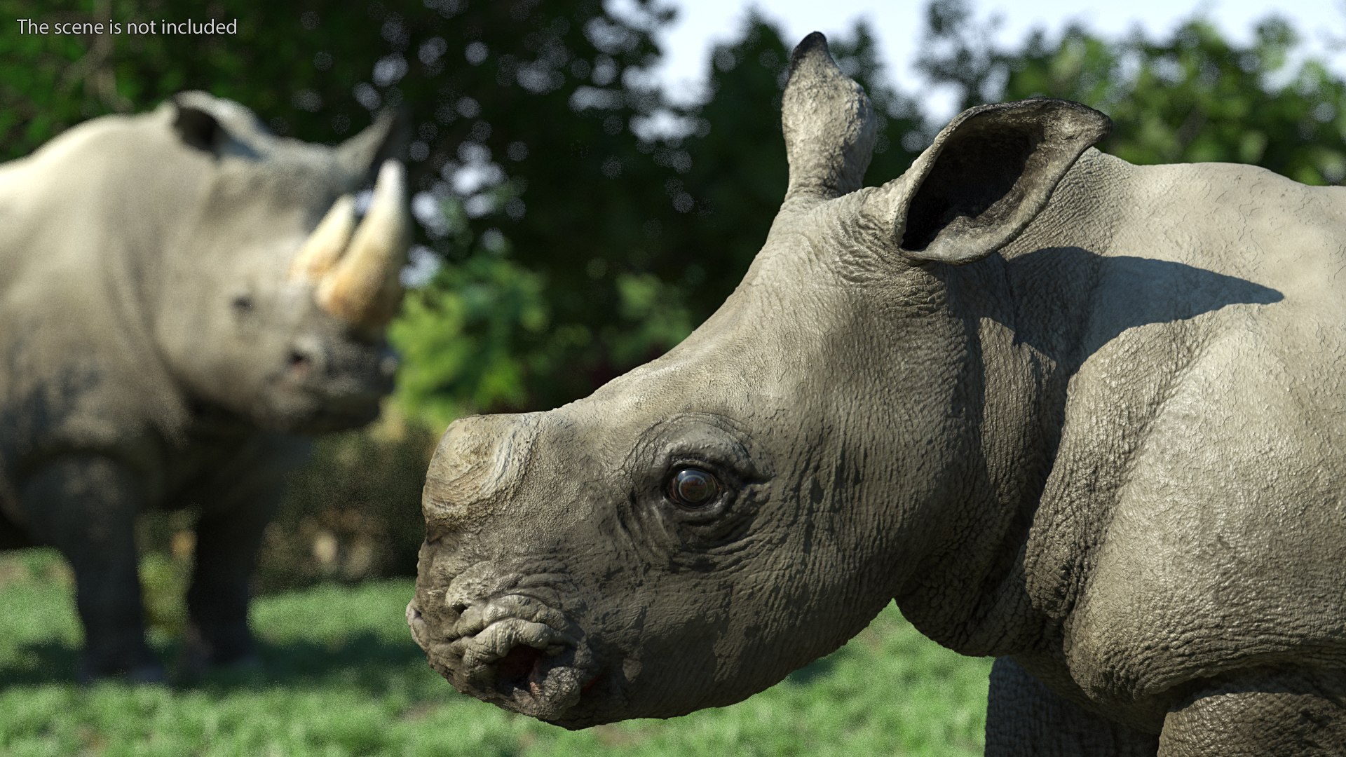 3D baby rhino rigged https://p.turbosquid.com/ts-thumb/Ka/bC5pkm/WAtlq751/babyrhinorigged3dsmodel003/jpg/1609941947/1920x1080/fit_q87/2df8ecea9a126e219941ea7011aadcef30ef992d/babyrhinorigged3dsmodel003.jpg