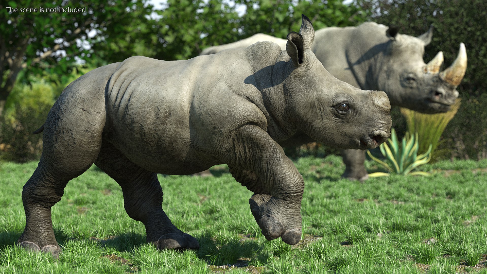 3D baby rhino rigged https://p.turbosquid.com/ts-thumb/Ka/bC5pkm/bXR3ePmb/babyrhinorigged3dsmodel010/jpg/1609941979/1920x1080/fit_q87/d08d59b4317bd2c365296f7361998ed39a4d707b/babyrhinorigged3dsmodel010.jpg