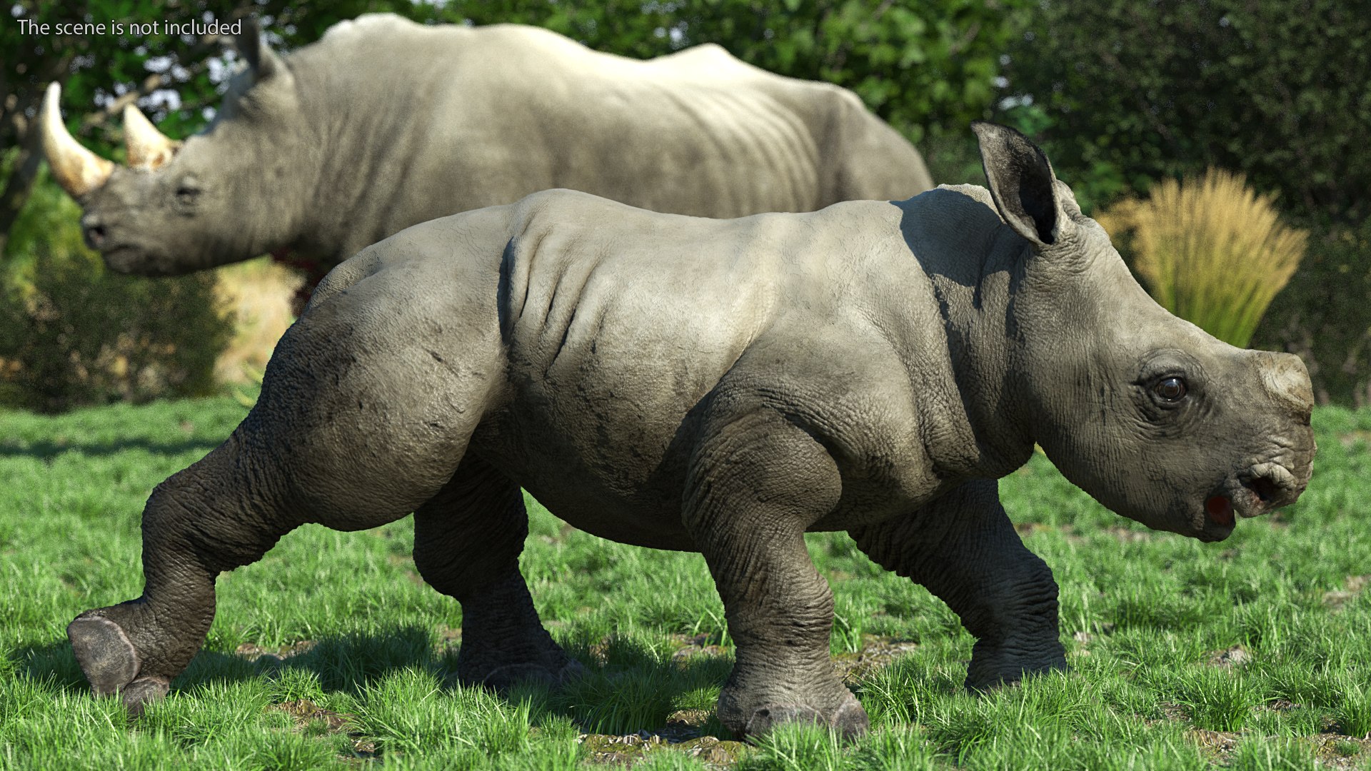 3D baby rhino rigged https://p.turbosquid.com/ts-thumb/Ka/bC5pkm/dLPpXobb/babyrhinorigged3dsmodel007/jpg/1609941964/1920x1080/fit_q87/4fc47028b30730339de017793c6f41427416ed13/babyrhinorigged3dsmodel007.jpg