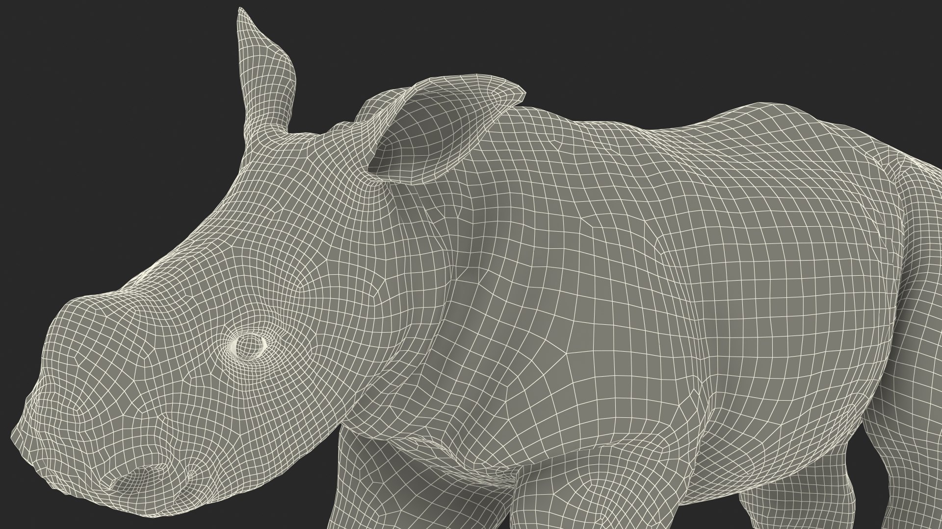 3D baby rhino rigged https://p.turbosquid.com/ts-thumb/Ka/bC5pkm/dlth492W/babyrhinorigged3dsmodel041/jpg/1609942103/1920x1080/fit_q87/daaf5ac6c5b662b2915cb2ad903d7213ff932246/babyrhinorigged3dsmodel041.jpg