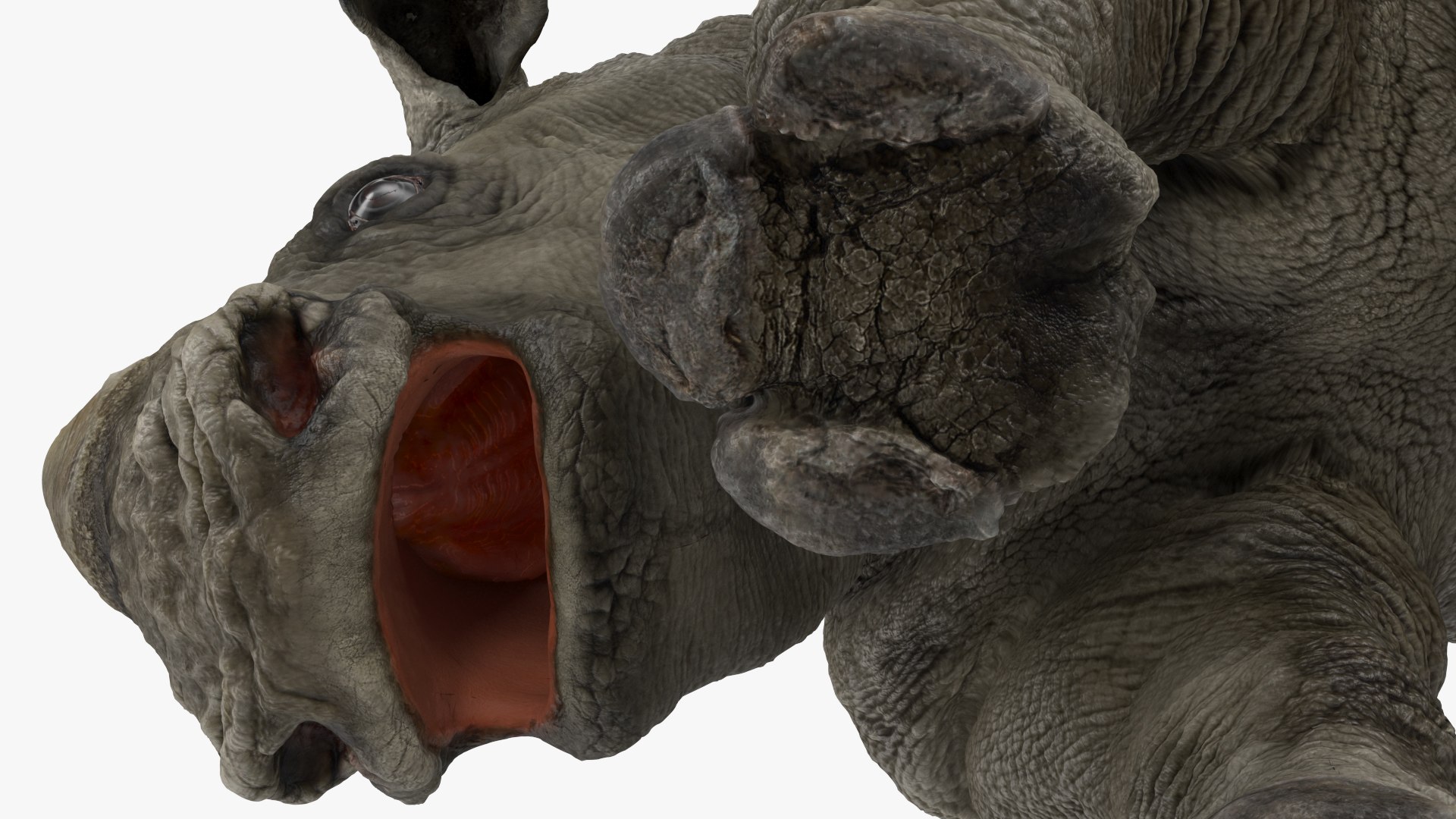 3D baby rhino rigged https://p.turbosquid.com/ts-thumb/Ka/bC5pkm/mjt7R0kU/babyrhinorigged3dsmodel029/jpg/1609942055/1920x1080/fit_q87/28ed5592ce2eead12595aa90db2d6d0dc5a84381/babyrhinorigged3dsmodel029.jpg