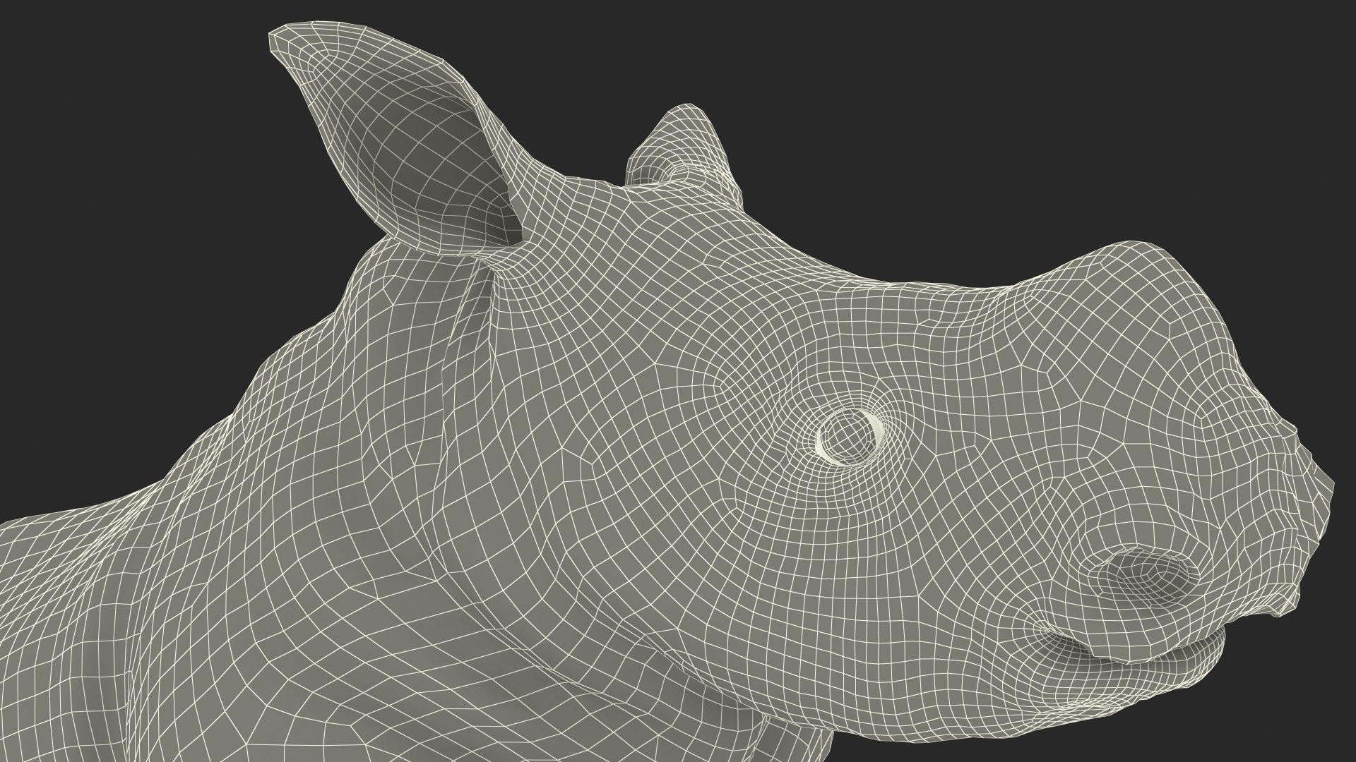 3D baby rhino rigged https://p.turbosquid.com/ts-thumb/Ka/bC5pkm/nVtOeAXW/babyrhinorigged3dsmodel042/jpg/1609942107/1920x1080/fit_q87/06da19d3fce581fbbd27ad1bb45aec71429e1ff8/babyrhinorigged3dsmodel042.jpg
