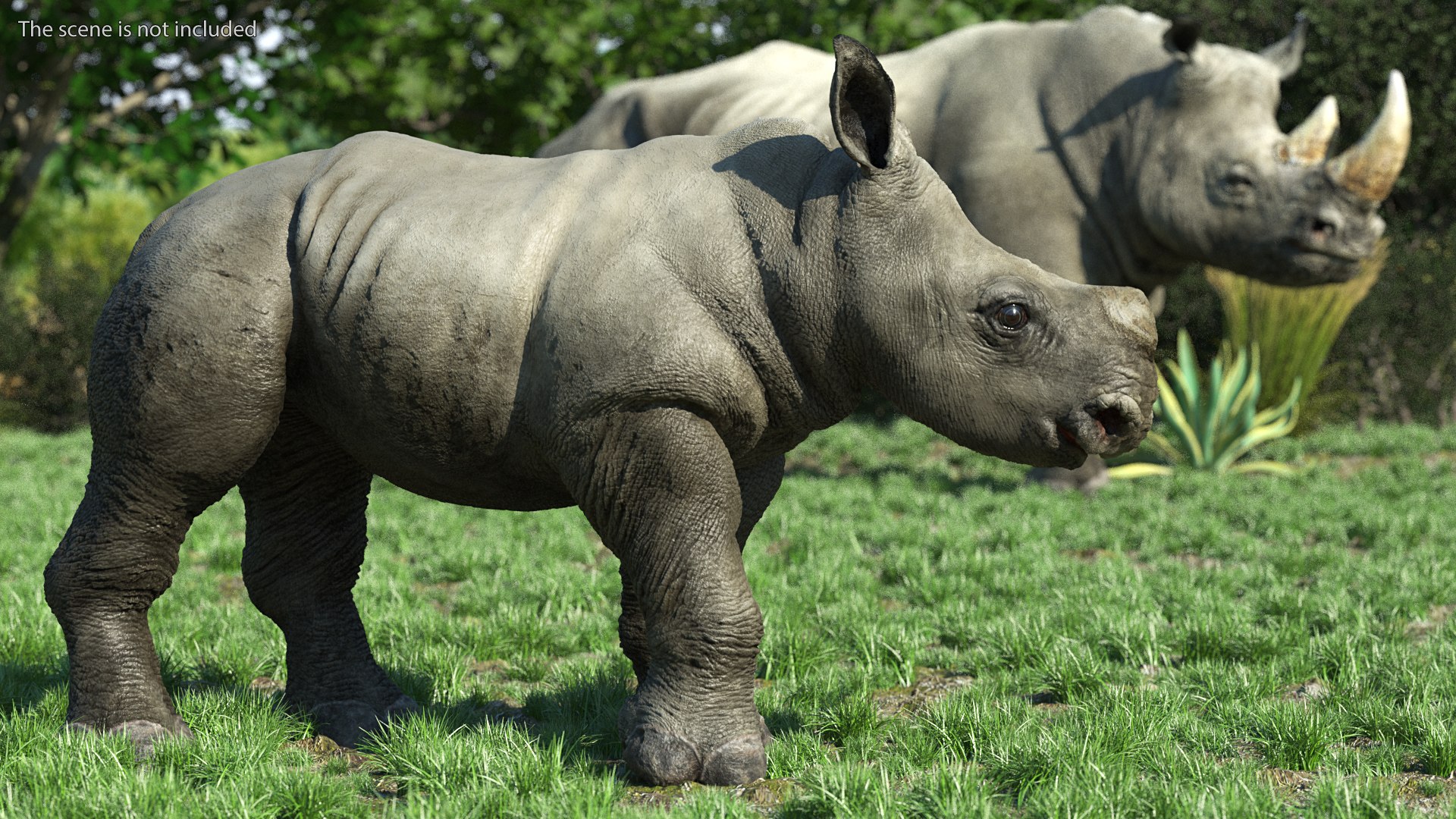 3D baby rhino rigged https://p.turbosquid.com/ts-thumb/Ka/bC5pkm/rD0axusY/babyrhinorigged3dsmodel005/jpg/1609941955/1920x1080/fit_q87/11701d32732fa49ee365d732fed839eb57a9f99a/babyrhinorigged3dsmodel005.jpg