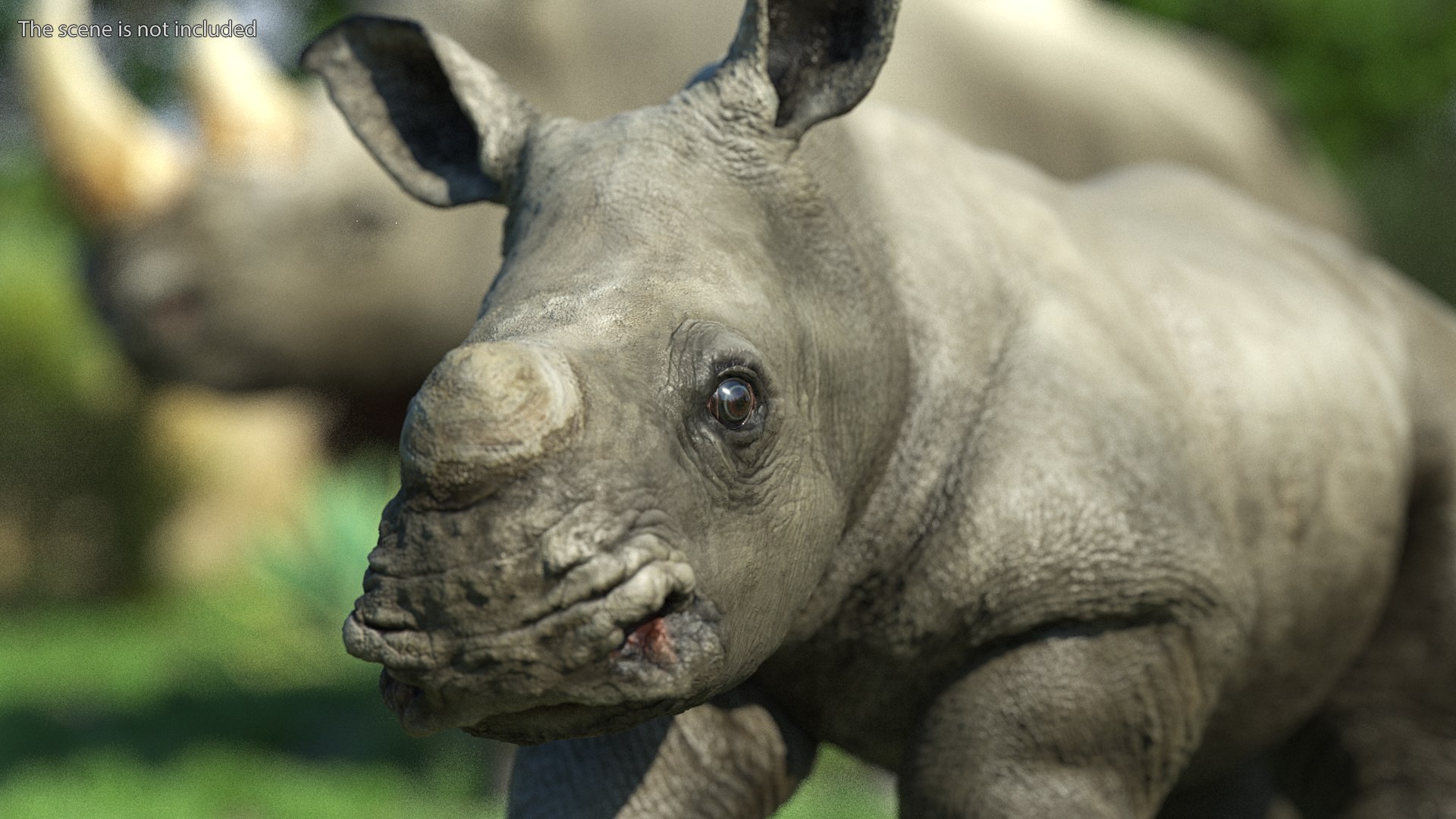 3D baby rhino rigged https://p.turbosquid.com/ts-thumb/Ka/bC5pkm/wlbH6qk1/babyrhinorigged3dsmodel009/jpg/1609941975/1920x1080/fit_q87/b0551bc953d521746ccb849bfe94bce9d99e4373/babyrhinorigged3dsmodel009.jpg
