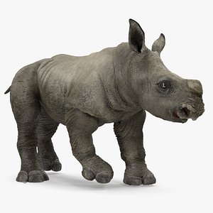 Baby Rhino Rigged for Cinema 4D