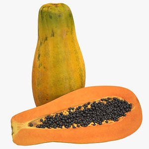 3d papaya