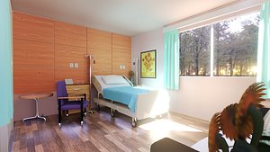 Hospital Room