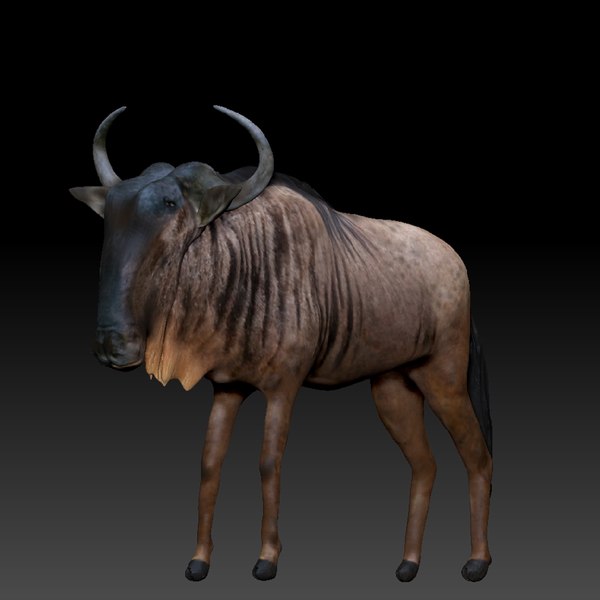 Red Hartebeest Model - Turbosquid 1189583