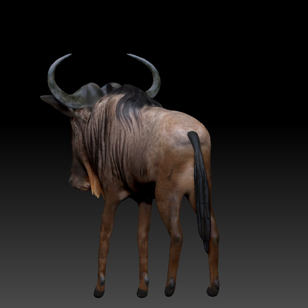 3d Model Wildebeest