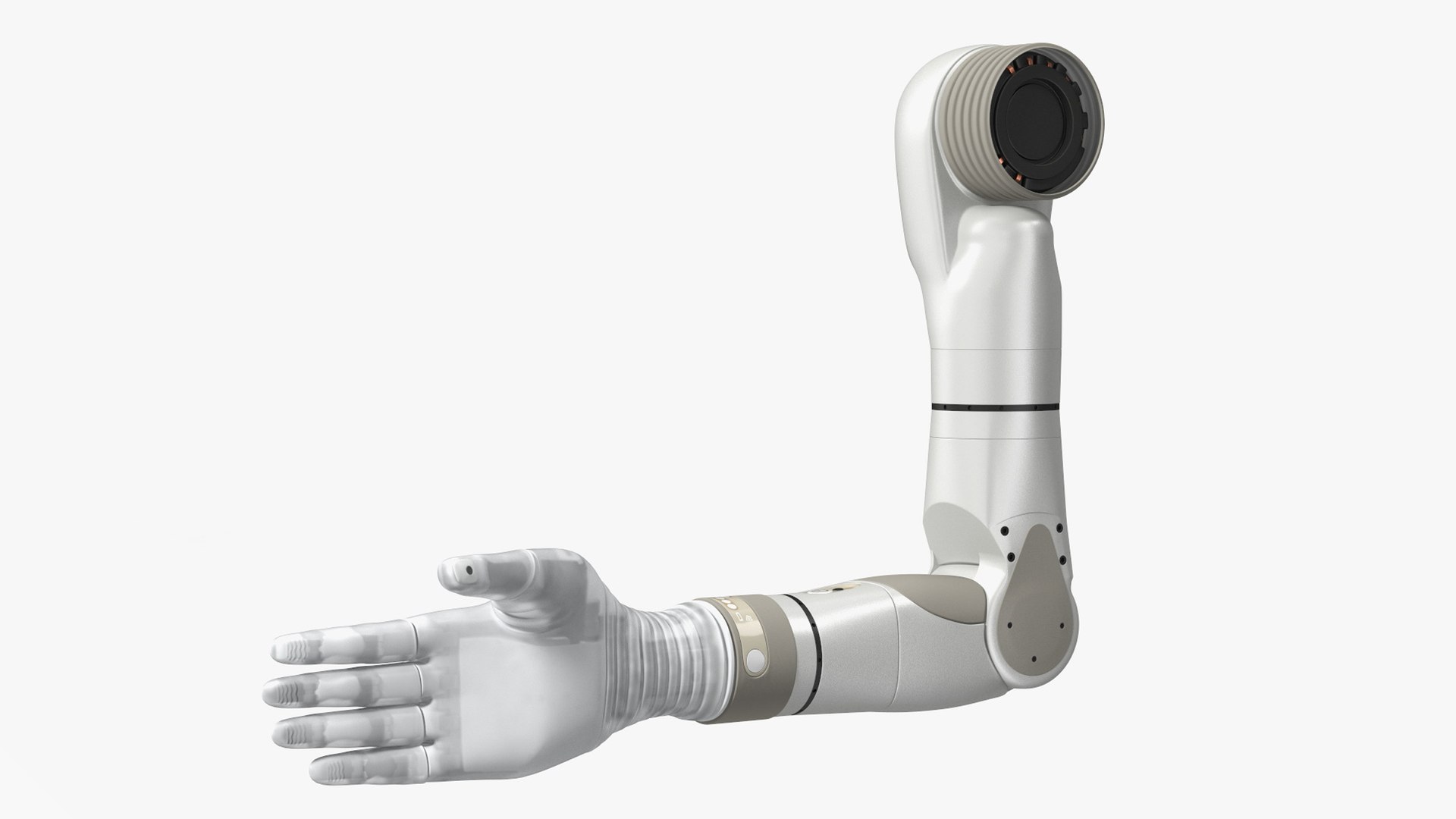 Mechanical Hands Rigged for Cinema 4D Collection 3D model https://p.turbosquid.com/ts-thumb/Kb/5w6en7/2Y/bionicarmdekariggedforcinema4d3dsmodel037/jpg/1790419078/1920x1080/fit_q87/82999c1f04c1463a113a6d0dd5be230359af3727/bionicarmdekariggedforcinema4d3dsmodel037.jpg