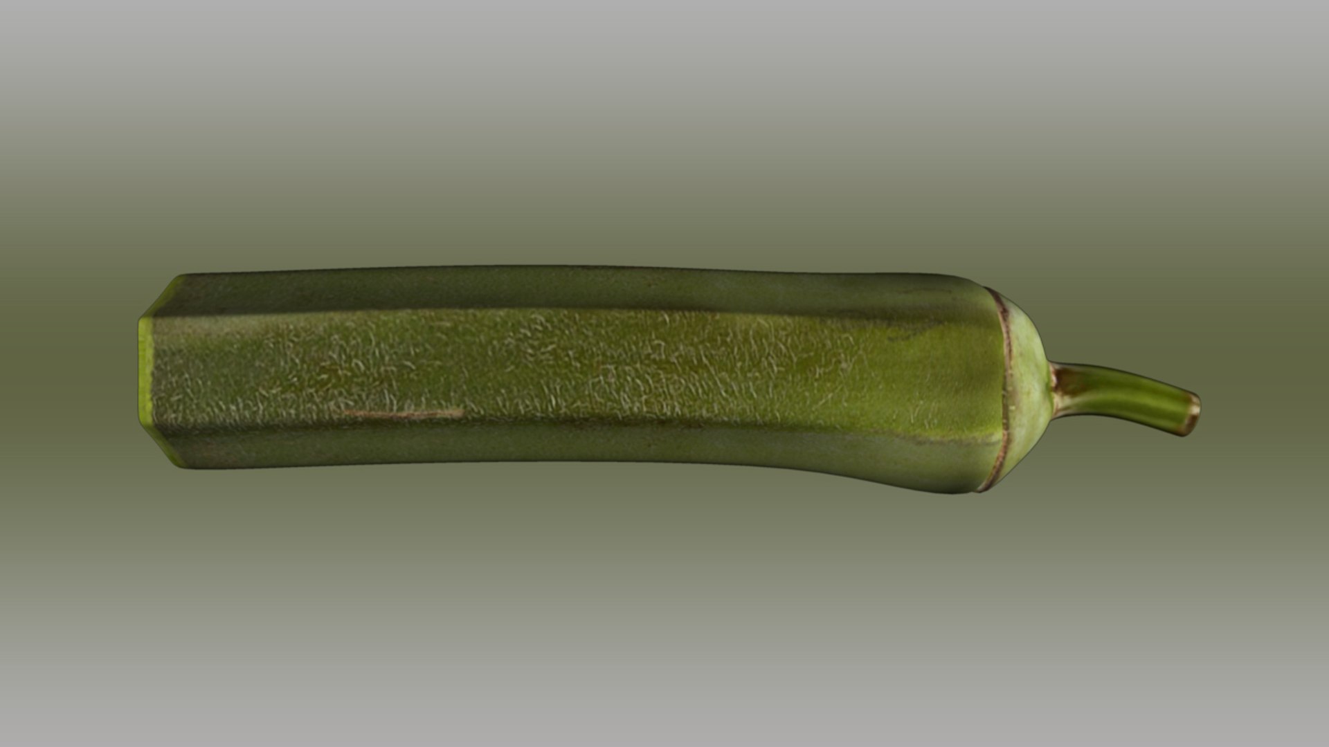 okra abelmoschus esculentus half 3d ma https://p.turbosquid.com/ts-thumb/Kb/9oW8yi/6uQ1uBv8/abelmoschusesculentushalf_01/jpg/1417157074/1920x1080/fit_q87/a3eb7f9e803445f532cf9c1b82922b786acd5c12/abelmoschusesculentushalf_01.jpg